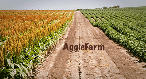 aggiefarm-x475-h260